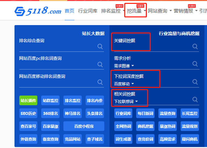 站群程序在网络营销中的崛起与挑战