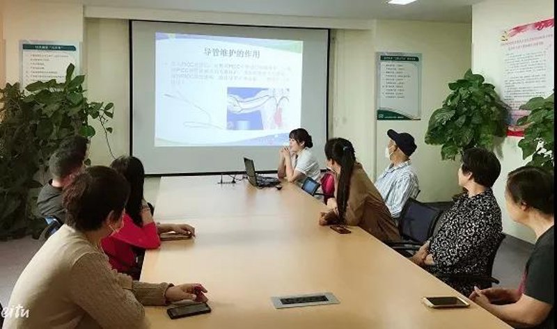 站群程序出售：构建电商王国的秘密武器